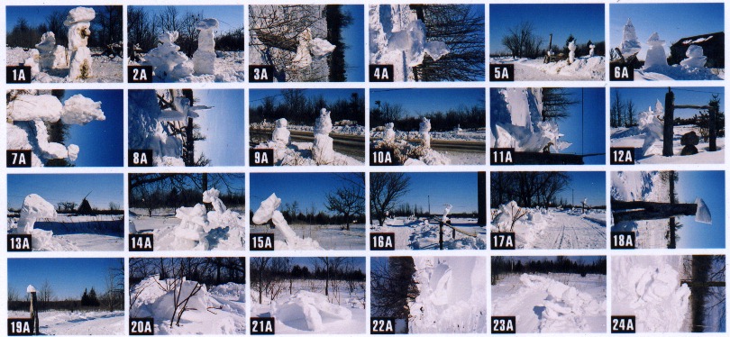 snow sculpture Feb.2004